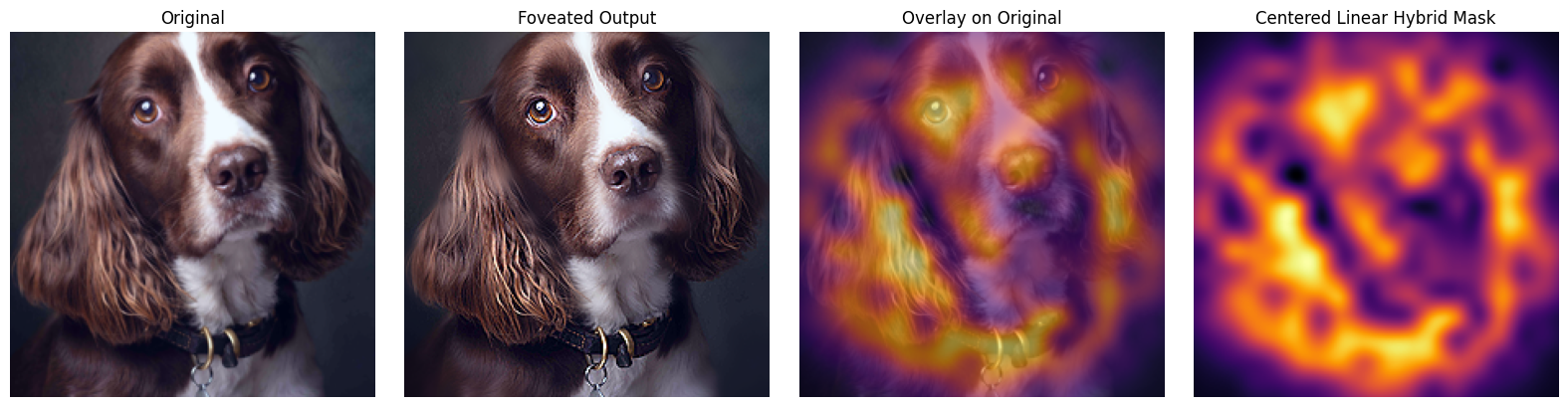 ViT blur mask on dog image